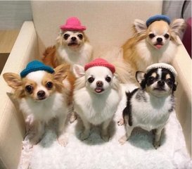 imtoken官网安卓版