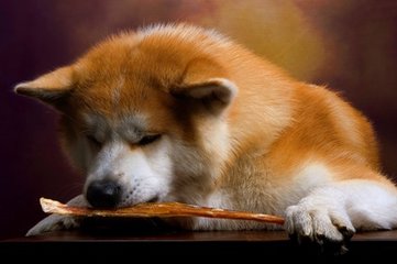 小狐狸钱包|(MetaMask)钱包苹果版