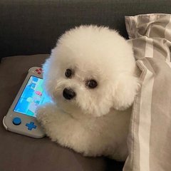 tokenpocket怎么连接账户