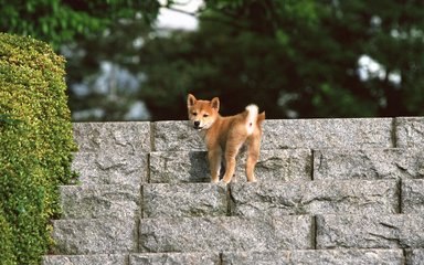 usdt钱包位置