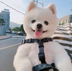 比特币钱包作用大吗